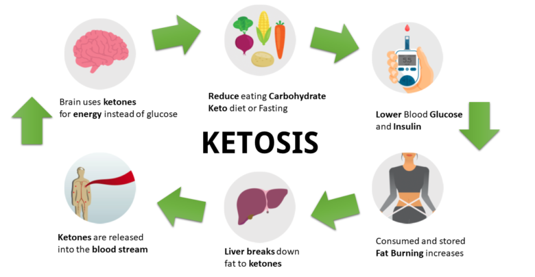 ketosis cetogene explications