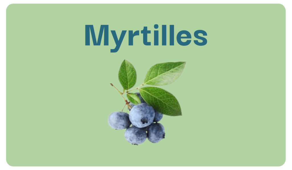 myrtilles fruit maigrir