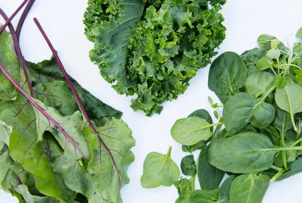 legumes verts liste ingredients