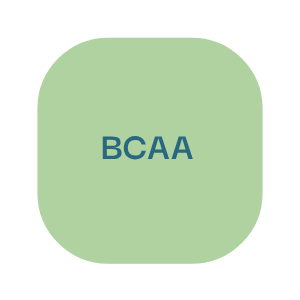 power up guide bcaa
