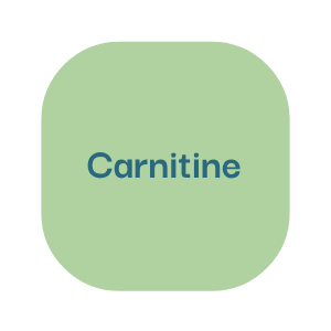 power up guide carnitine
