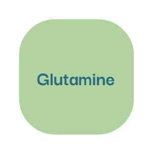 power up guide glutamine