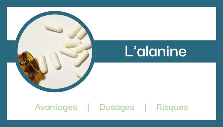 Qu’est-ce que la bêta-alanine ?