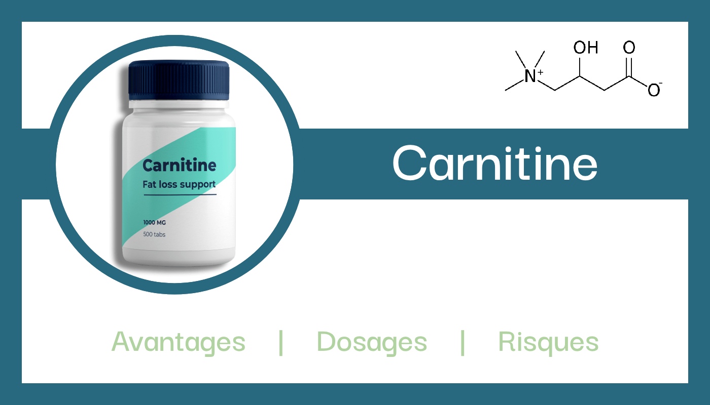 carnitine explications role composition avantages