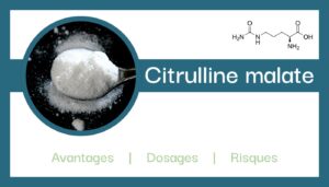 citrulline explications role composition avantages