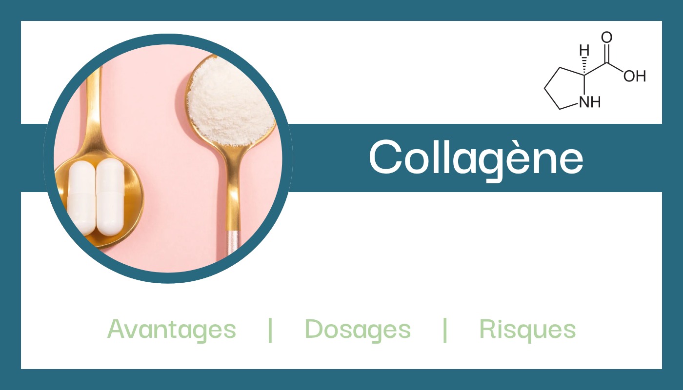 collagene explications role composition avantages