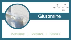 glutamine explications role composition avantages