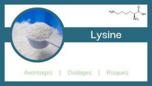 lysine explications role composition avantages
