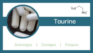 taurine explications role composition avantages