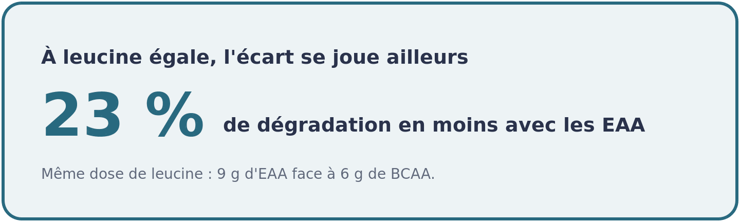 Chiffre clé : à dose de leucine identique, les EAA entraînent 23 pour cent de dégradation des protéines musculaires en moins que les BCAA seuls.