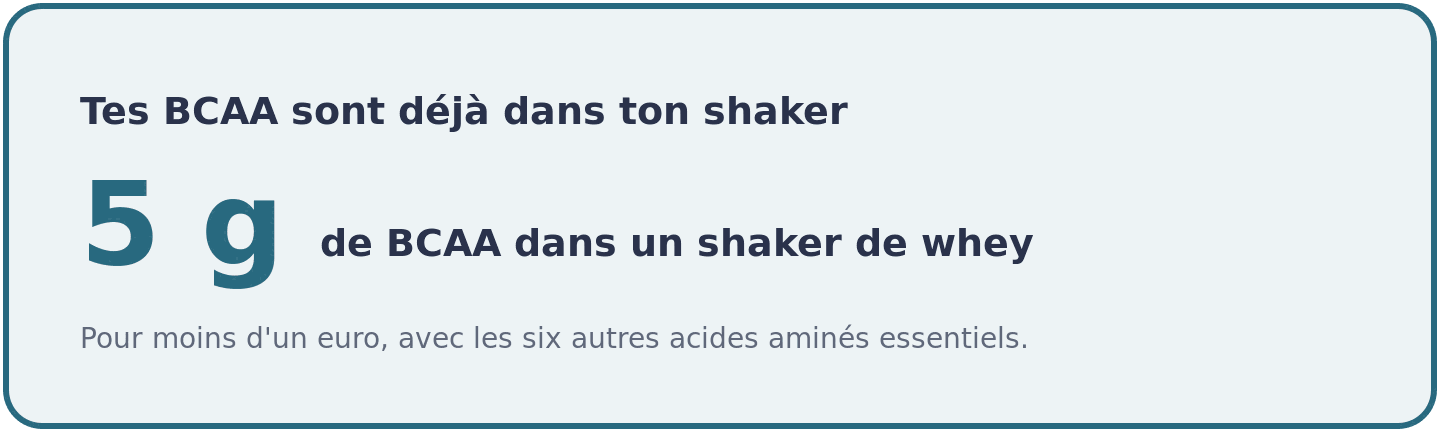 Un shaker de whey de 24 g apporte environ 5 g de BCAA et les six autres acides aminés essentiels, pour moins d'un euro.