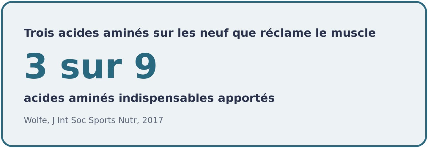 Un supplement de BCAA apporte trois des neuf acides amines indispensables a la construction d'une proteine musculaire