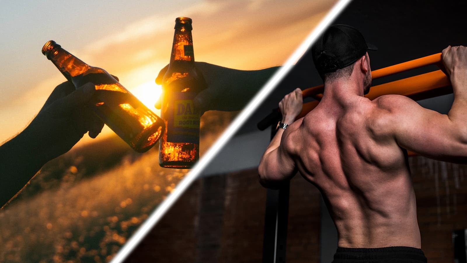 creatine alcool effets