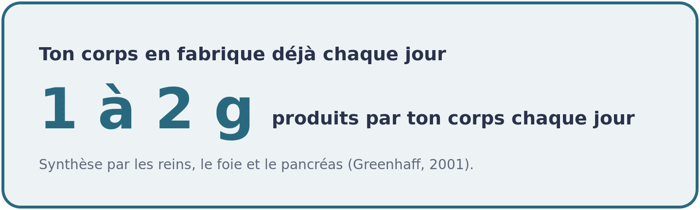Rappel physiologique : ton organisme fabrique naturellement 1 à 2 grammes de créatine chaque jour, via les reins, le foie et le pancréas.