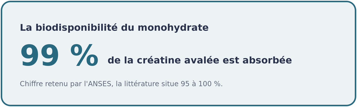 Visuel indiquant que près de 99 pour cent de la créatine monohydrate avalée est absorbée, selon la biodisponibilité retenue par l'ANSES.