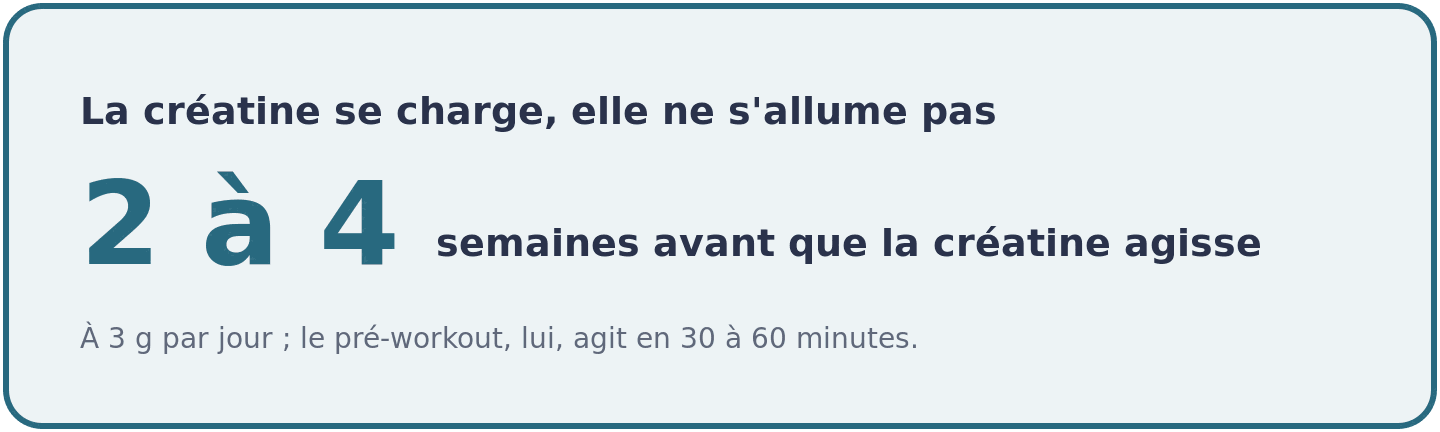 La créatine met deux à quatre semaines à 3 g par jour pour saturer les stocks musculaires, quand le pré-workout agit en 30 à 60 minutes.