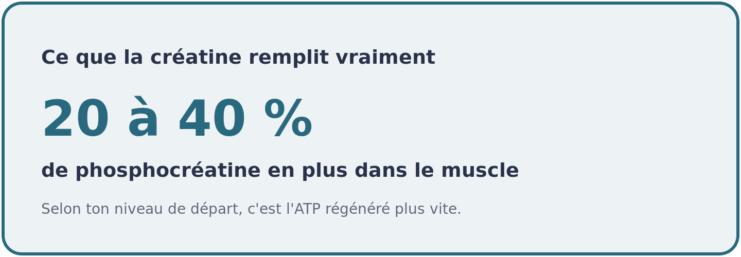 La supplémentation en créatine augmente les réserves musculaires de phosphocréatine de 20 à 40 pour cent selon le niveau de départ.