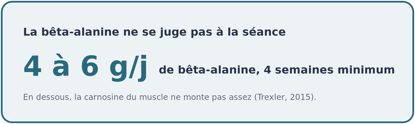 Seuil de la bêta-alanine : 4 à 6 grammes par jour pendant au moins quatre semaines avant que la carnosine musculaire monte assez pour agir.