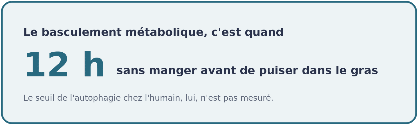 Visuel situant au-dela de douze heures sans manger le moment ou le glycogene du foie s'epuise et ou les acides gras sont mobilises.