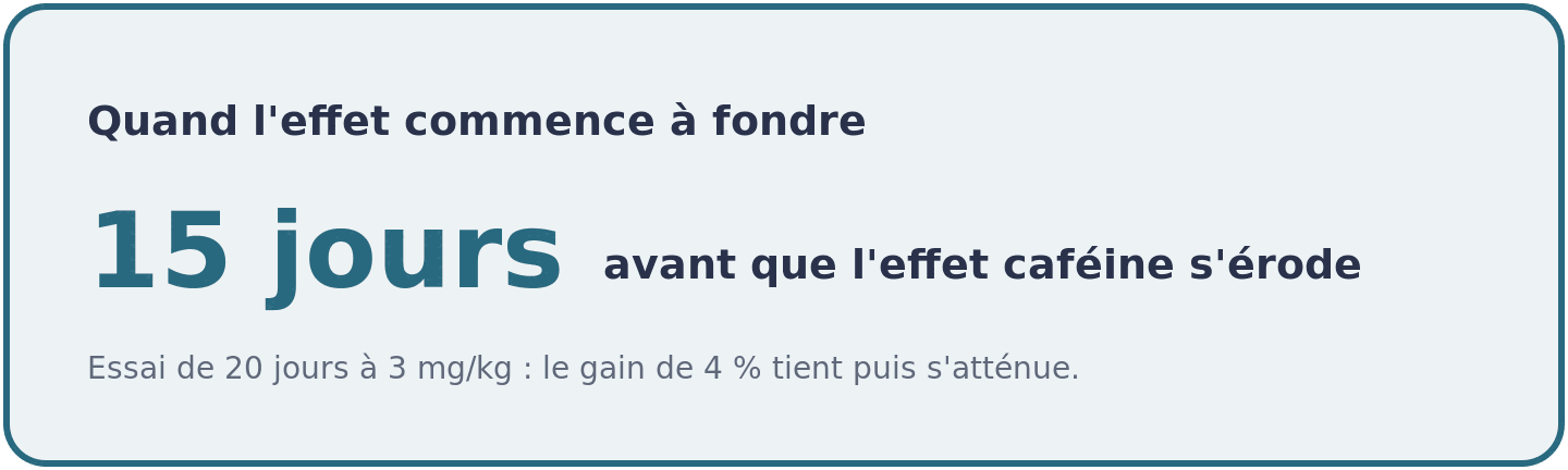 Visuel indiquant qu'en prise quotidienne le gain de puissance apporte par la cafeine tient environ quinze jours avant de s'attenuer.