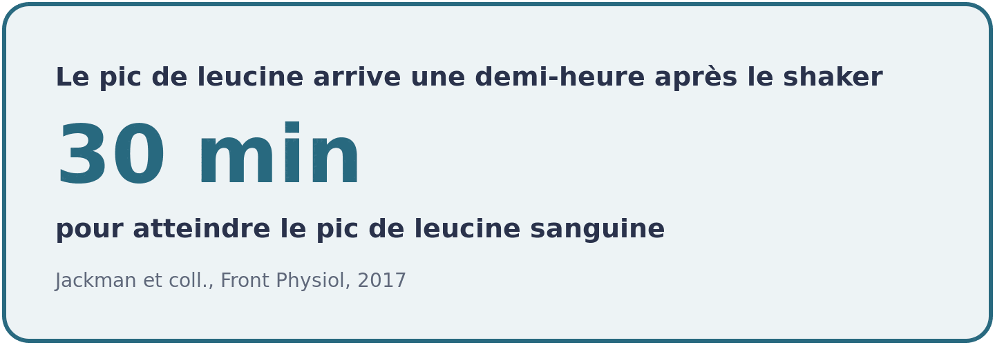 Le pic de leucine dans le sang est atteint environ trente minutes apres la prise de BCAA