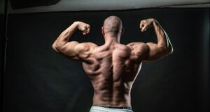 Whey et prise de masse : ce qu'elle fait, ce qu'elle ne fait pas