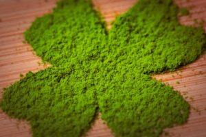 Whey vegan : pourquoi ça n'existe pas et quoi prendre à la place